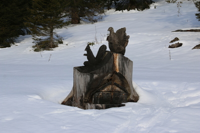 Carving by the track