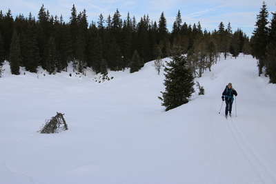 The track the others missed