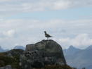 Ascent of Justadtinden