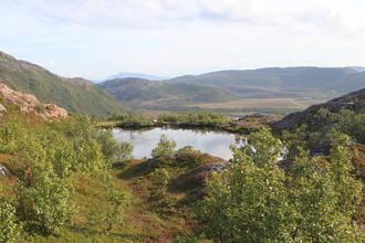 Tarn on Ørnfløya